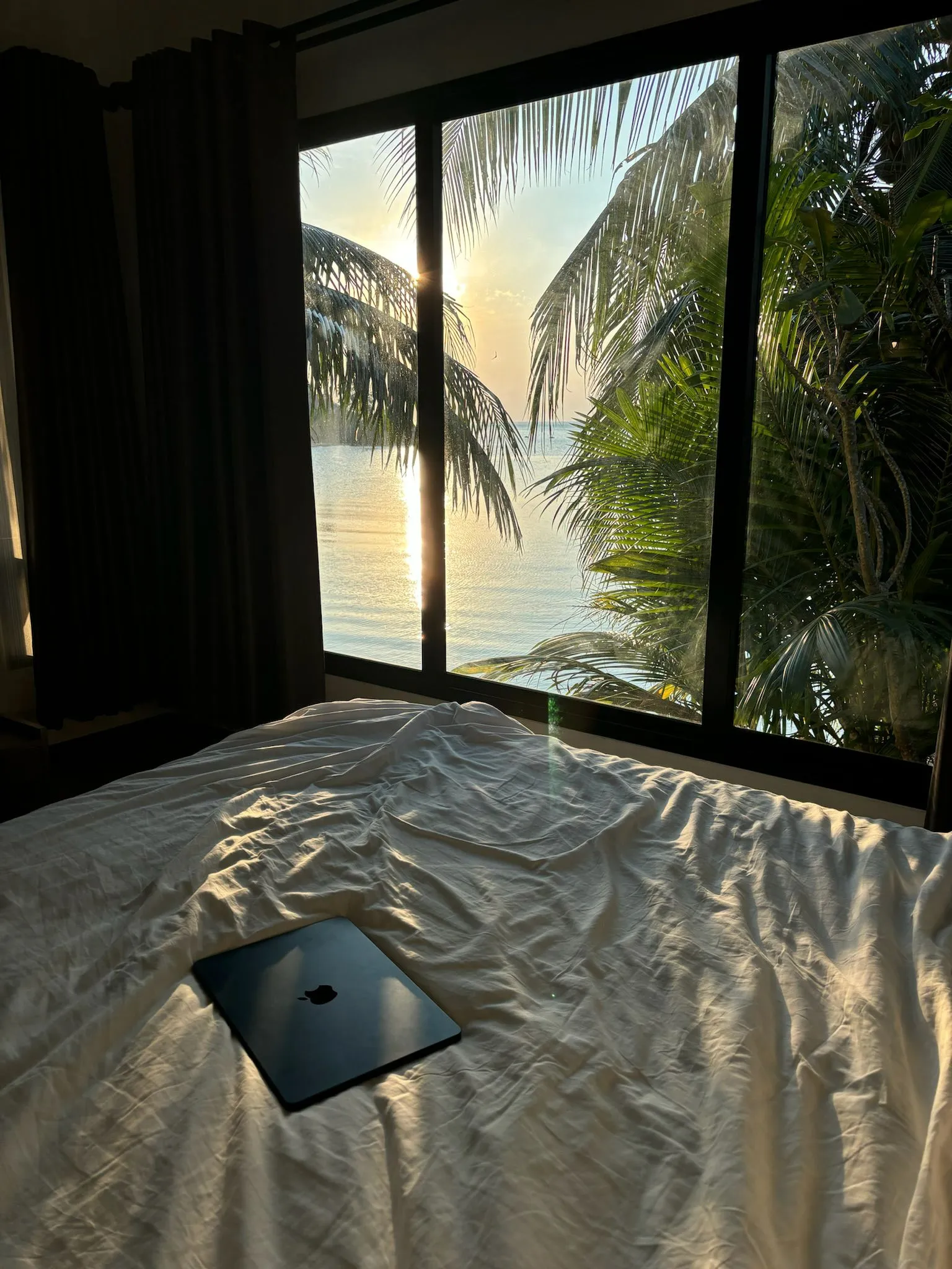 WhatsApp Image 2026-02-26 at 11.10.55 (1)