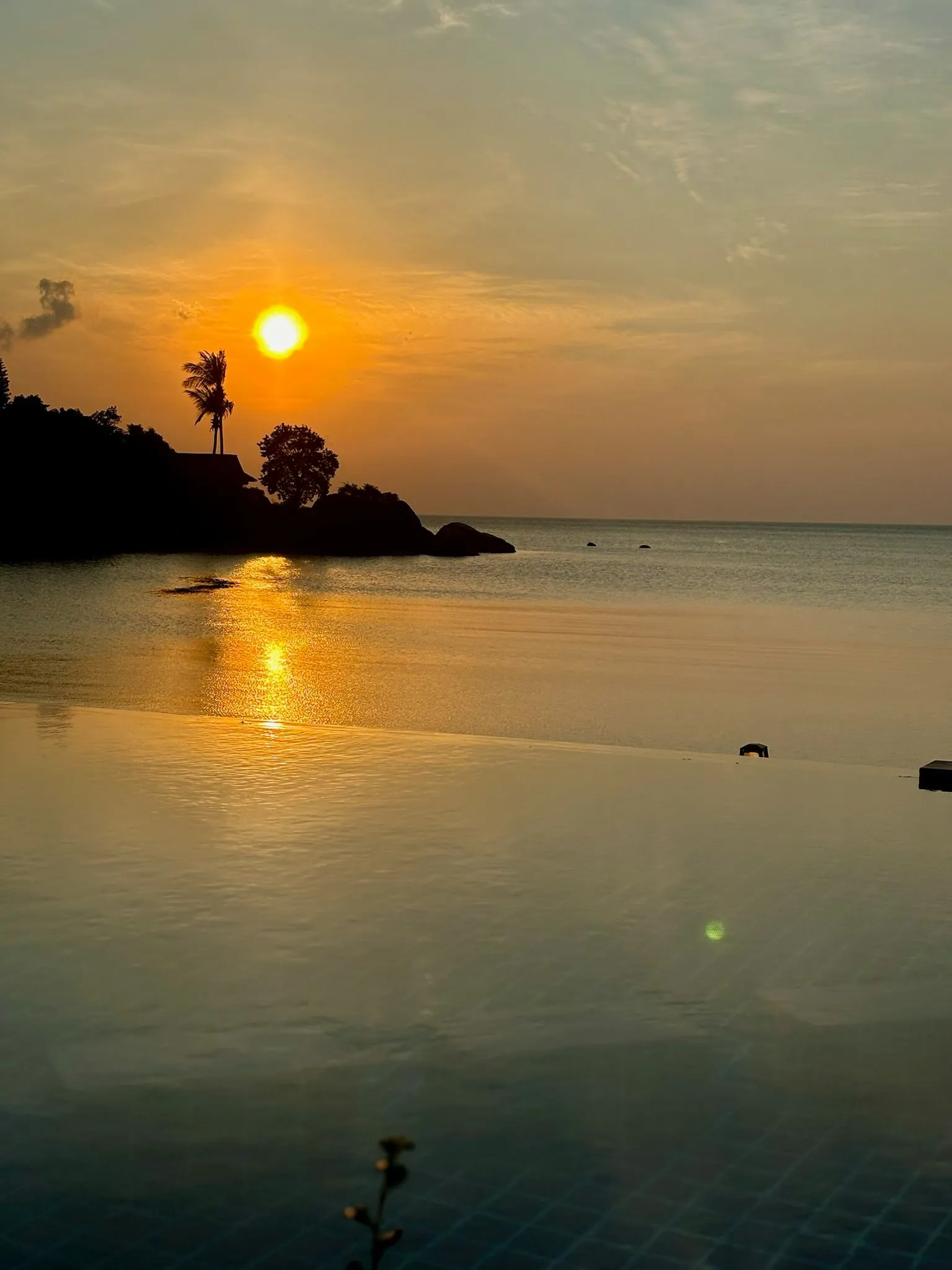 WhatsApp Image 2026-02-26 at 11.10.55