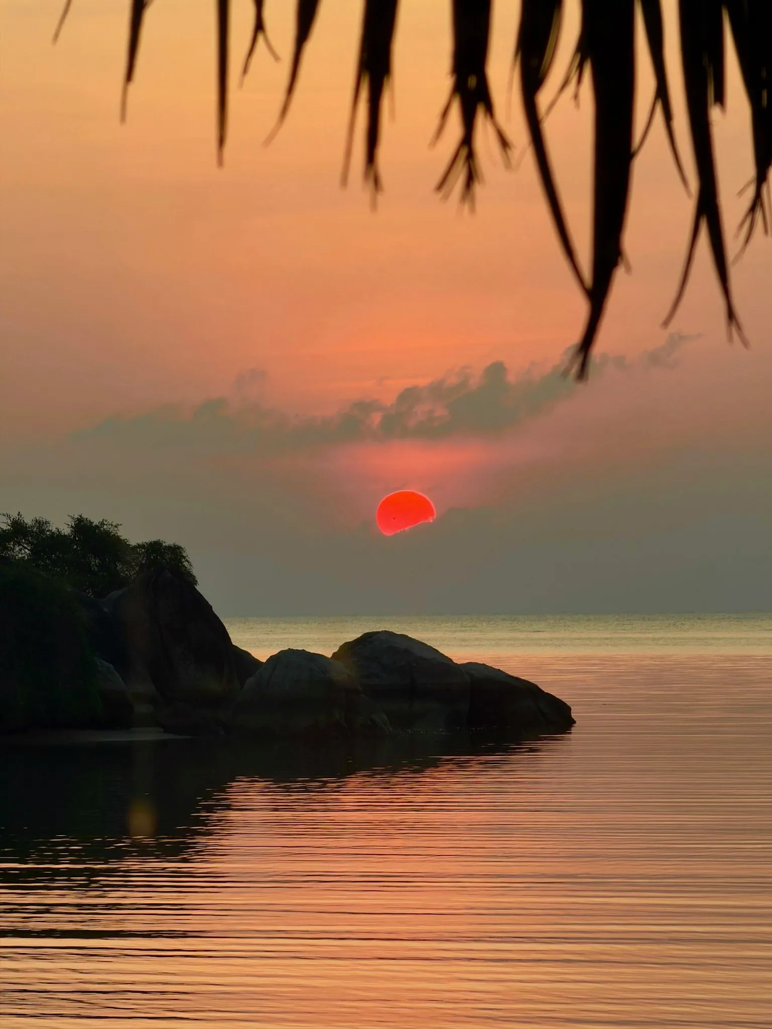 WhatsApp Image 2026-02-26 at 11.11.05