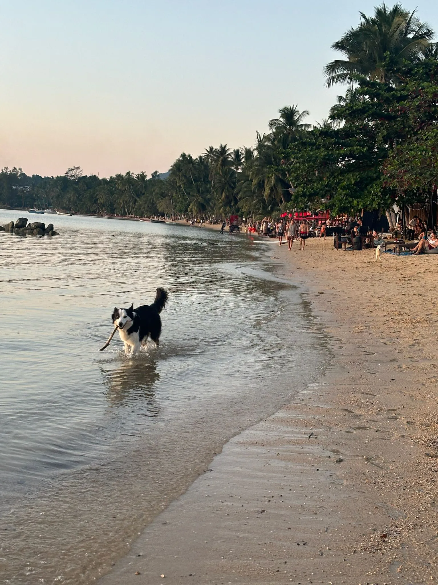 WhatsApp Image 2026-02-26 at 11.11.59 (1)