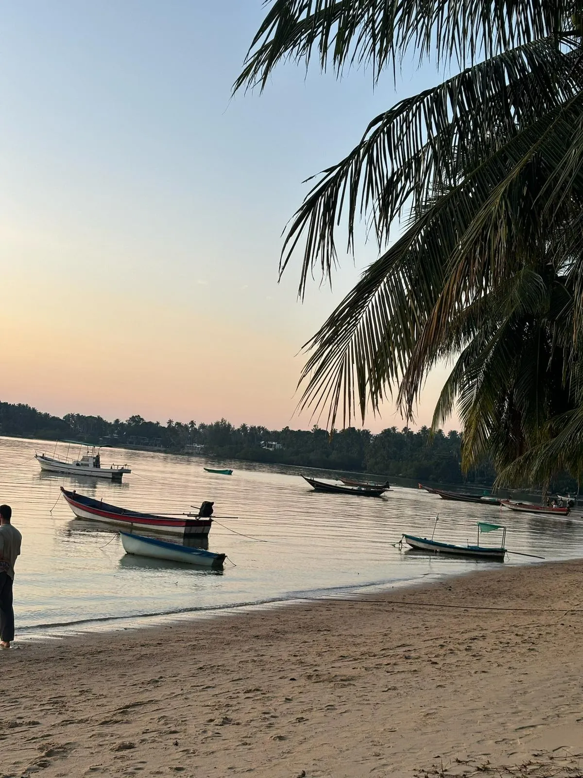 WhatsApp Image 2026-02-26 at 11.11.59 (4)