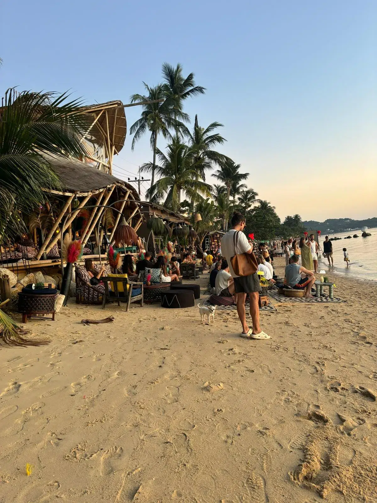 WhatsApp Image 2026-02-26 at 11.12.00 (1)