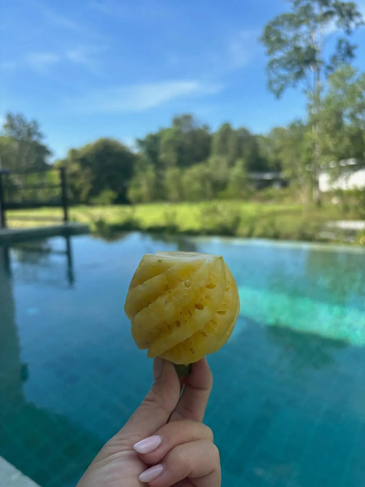 WhatsApp Image 2026-02-26 at 11.12.01 (2)