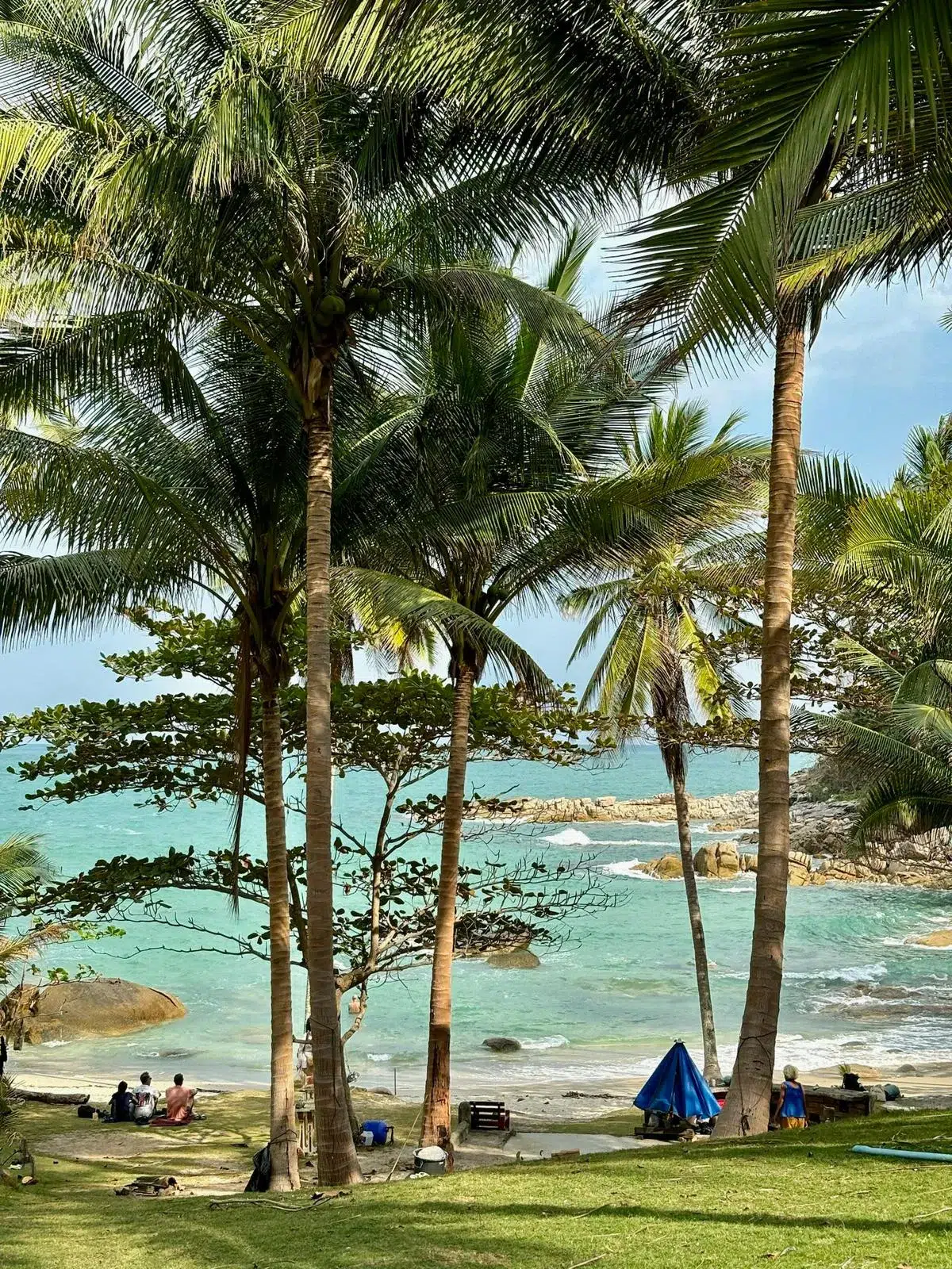 WhatsApp Image 2026-02-26 at 11.12.06 (4)