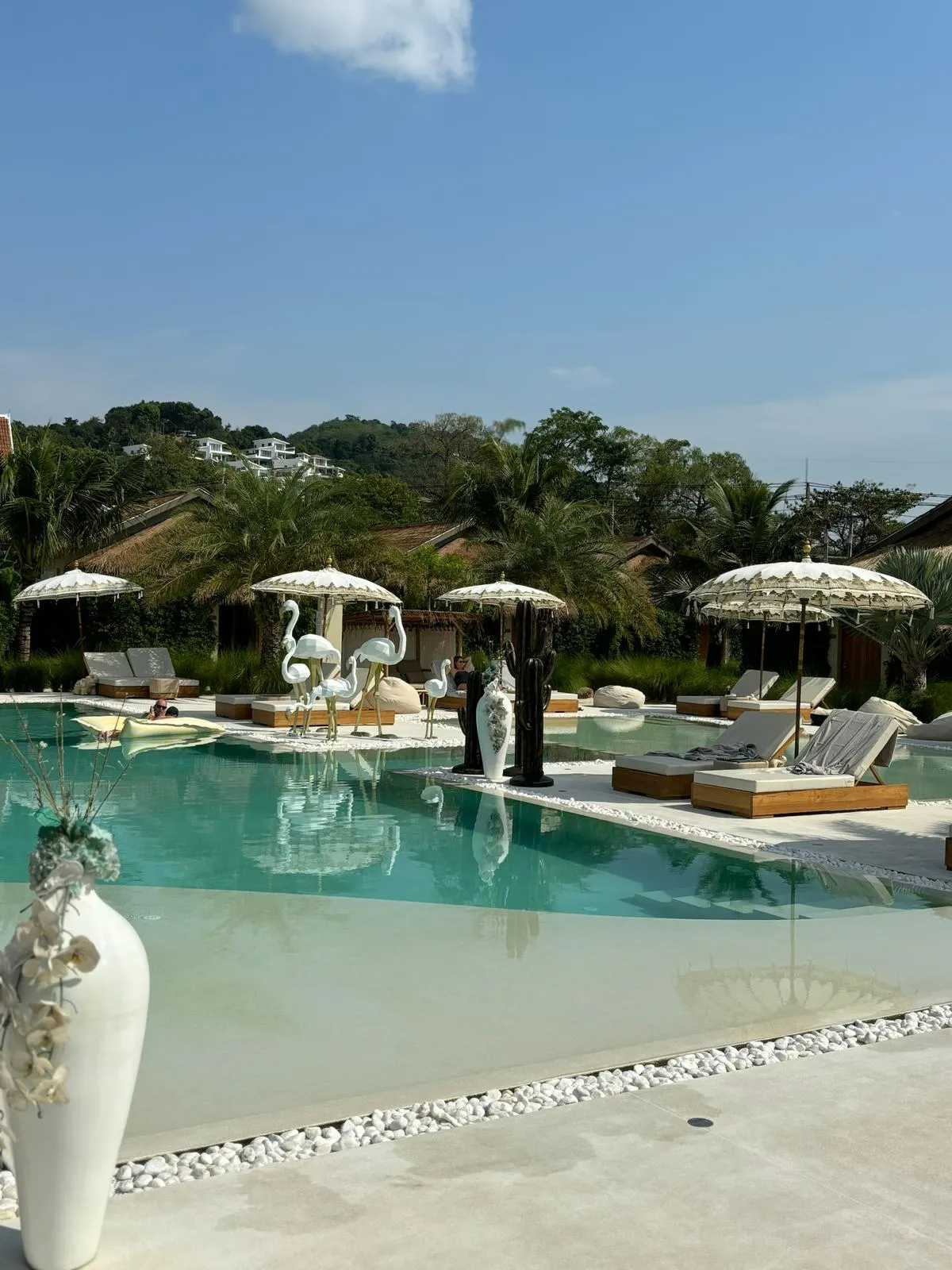 WhatsApp Image 2026-02-26 at 11.12.07 (1)