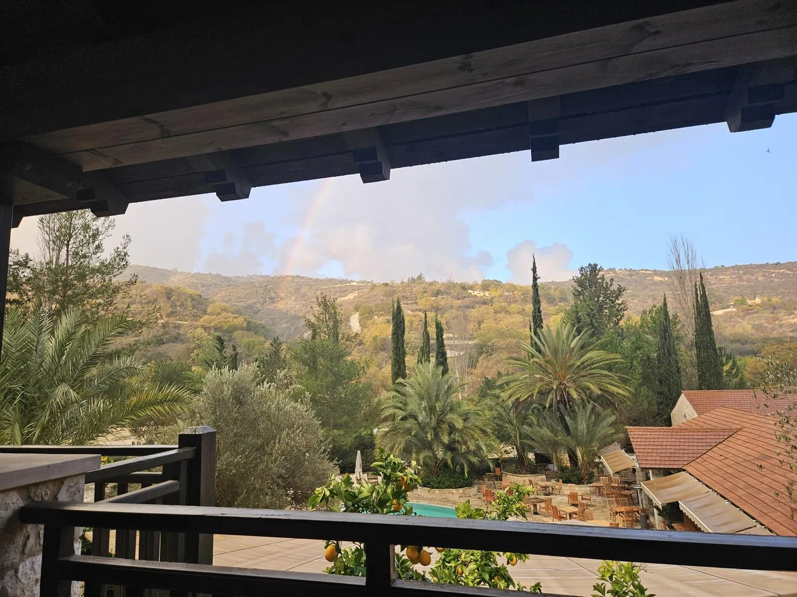 WhatsApp Image 2026-04-11 at 19.42.13