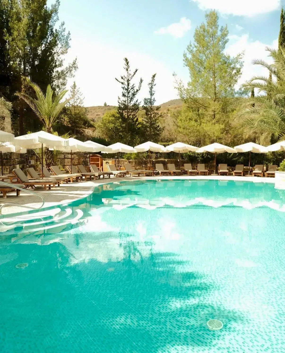 WhatsApp Image 2026-04-11 at 19.46.2677